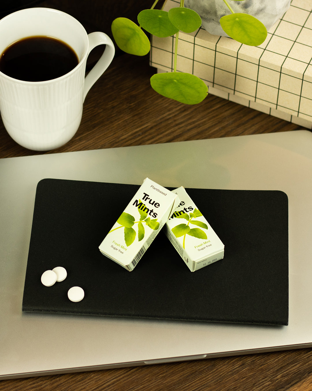 True Mints Fresh Mint