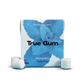 True Gum Strong Mint